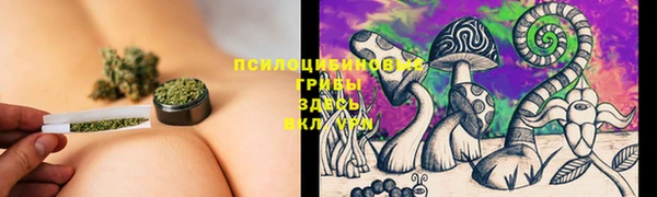 гашик Каменск-Шахтинский