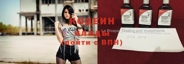 хмурый Бородино