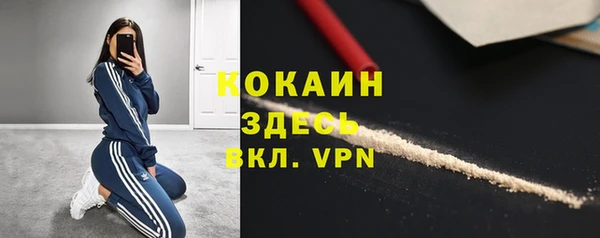 хмурый Бородино