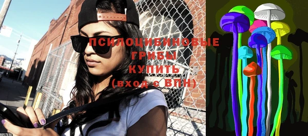 хмурый Бородино