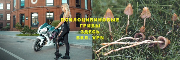 хмурый Бородино