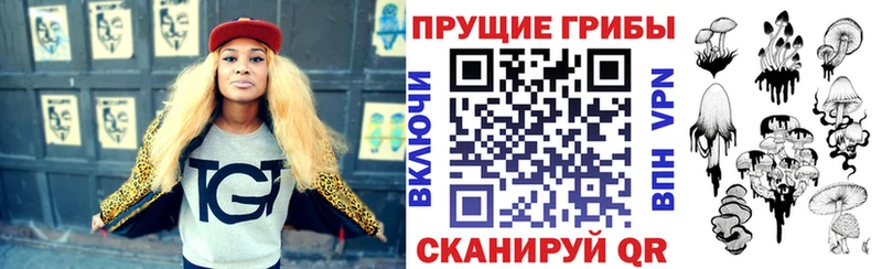 Галлюциногенные грибы Psilocybine cubensis  Городовиковск 